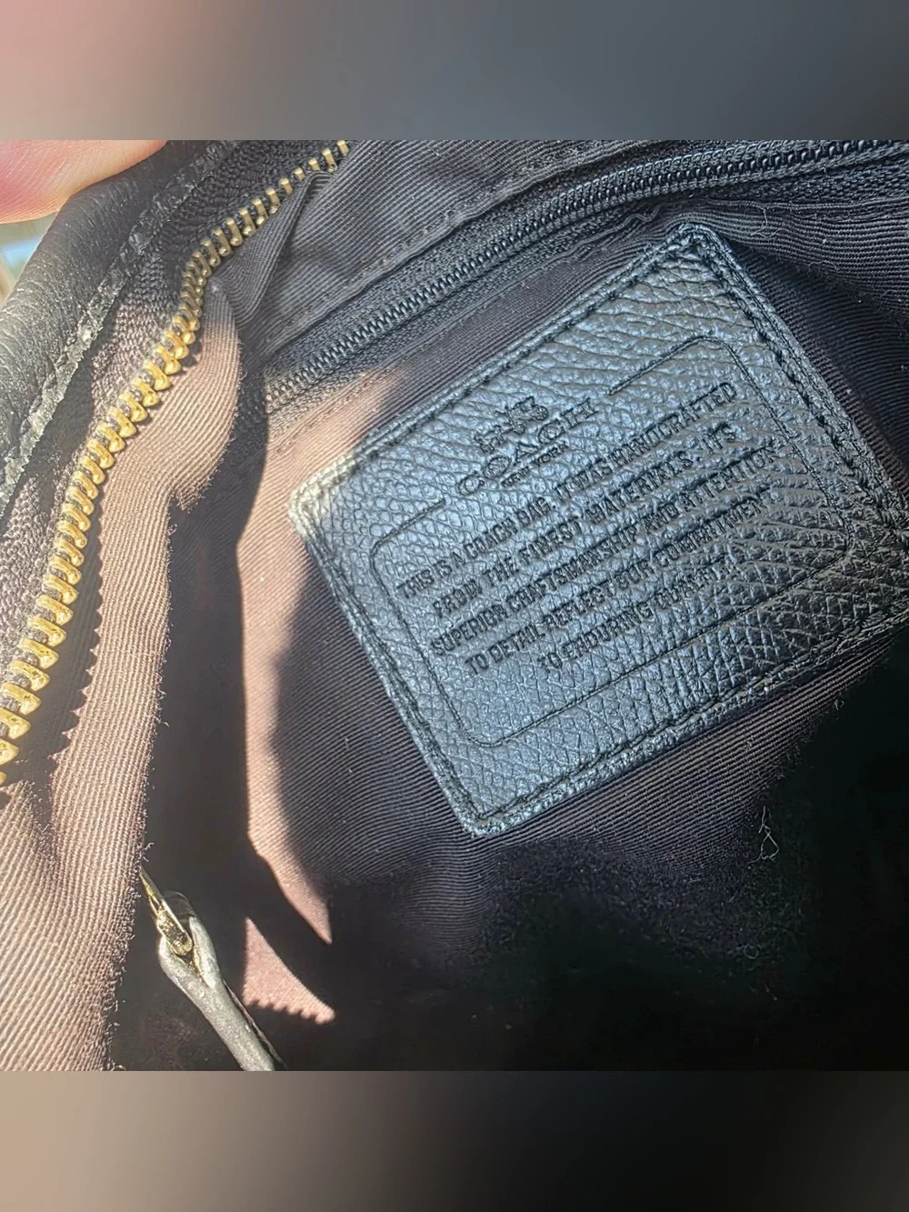 Coach Brown/Black Signature Crossbody Bag